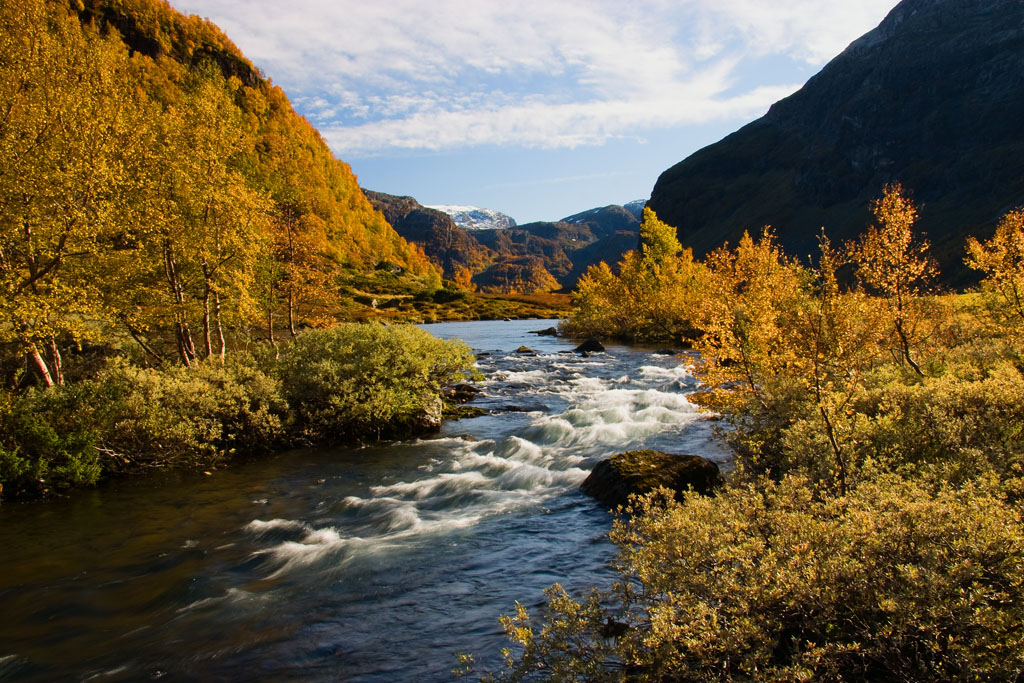 Slondalsvatnet